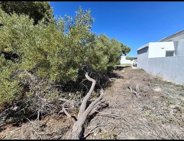 LAND FOR SALE IN SHELLEY POINT